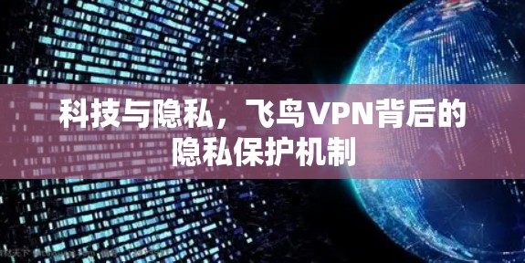 科技与隐私,飞鸟VPN背后的隐私保护机制 科技与隐私,飞鸟VPN背后的隐私保护机制