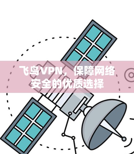 飞鸟VPN,保障网络安全的优质选择 飞鸟VPN,保障网络安全的优质选择