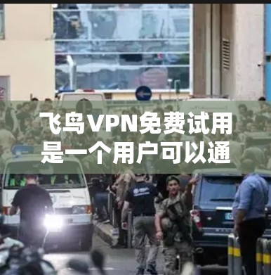 飞鸟VPN免费试用是一个用户可以通过其官网或应用商店申请的试用服务,旨在提供一个免费的试用版本,以体验其VPN功能。以下是对该服务的详细信息 飞鸟VPN免费试用是一个用户可以通过其官网或应用商店申请的试用服务,旨在提供一个免费的试用版本,以体验其VPN功能。以下是对该服务的详细信息