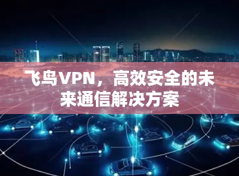 飞鸟VPN,高效安全的未来通信解决方案 飞鸟VPN,高效安全的未来通信解决方案