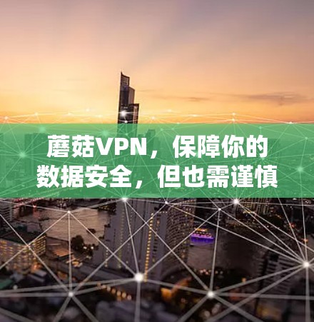 蘑菇VPN,保障你的数据安全,但也需谨慎使用! 蘑菇VPN,保障你的数据安全,但也需谨慎使用!