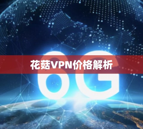 花菇VPN价格解析 花菇VPN价格解析