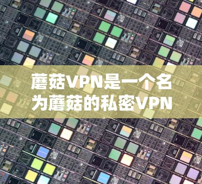 蘑菇VPN是一个名为蘑菇的私密VPN服务,但它并不是一个公开的或知名的VPN平台。蘑菇VPN可能是一个实验性的服务,或者是一个较为私密的VPN服务,可能用于特定的用途 蘑菇VPN是一个名为蘑菇的私密VPN服务,但它并不是一个公开的或知名的VPN平台。蘑菇VPN可能是一个实验性的服务,或者是一个较为私密的VPN服务,可能用于特定的用途