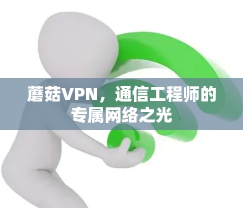 蘑菇VPN,通信工程师的专属网络之光 蘑菇VPN,通信工程师的专属网络之光
