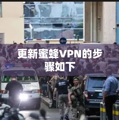 更新蜜蜂VPN的步骤如下 更新蜜蜂VPN的步骤如下