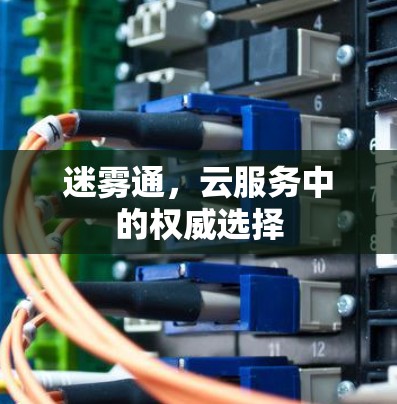 迷雾通,云服务中的权威选择 迷雾通,云服务中的权威选择
