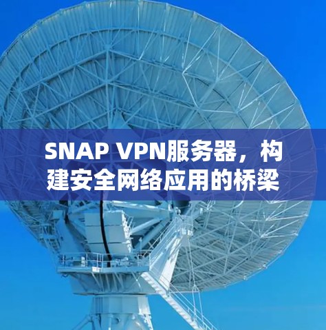 SNAP VPN服务器,构建安全网络应用的桥梁 SNAP VPN服务器,构建安全网络应用的桥梁