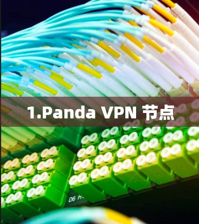 1.Panda VPN 节点 1.Panda VPN 节点