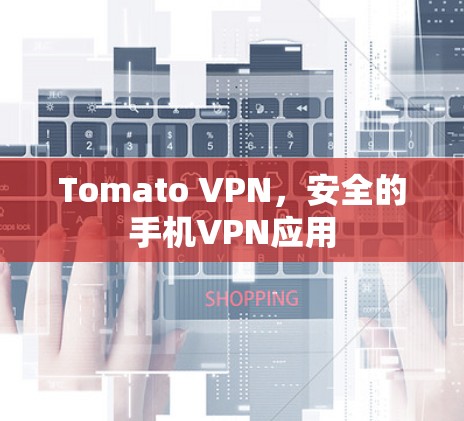 Tomato VPN,安全的手机VPN应用 Tomato VPN,安全的手机VPN应用