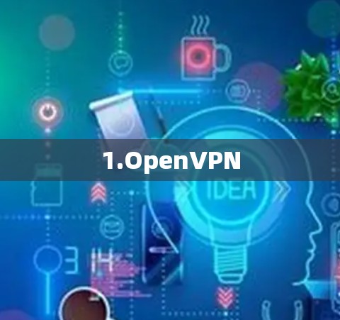1.OpenVPN 1.OpenVPN