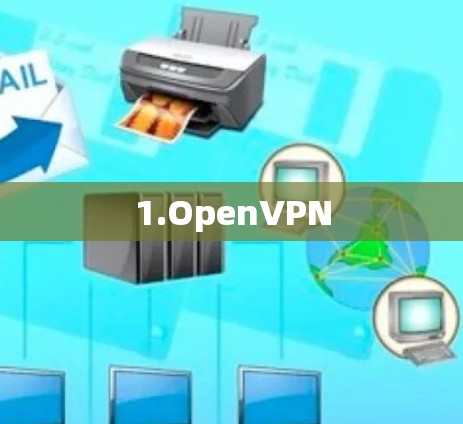 1.OpenVPN 1.OpenVPN