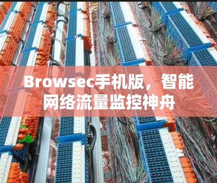 Browsec手机版,智能网络流量监控神舟 Browsec手机版,智能网络流量监控神舟