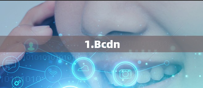 1.Bcdn 1.Bcdn