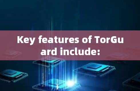 Key features of TorGuard include: Key features of TorGuard include: