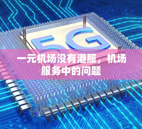 一元机场没有港服，机场服务中的问题