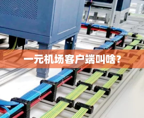 一元机场客户端叫啥？