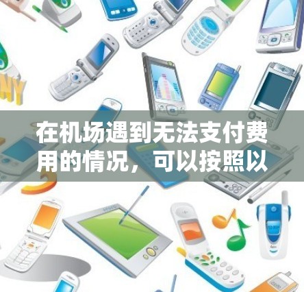 在机场遇到无法支付费用的情况，可以按照以下步骤进行处理