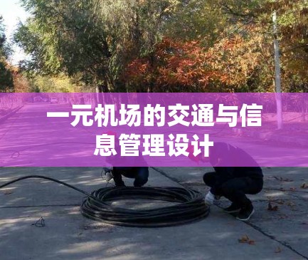 一元机场的交通与信息管理设计 一元机场的交通与信息管理设计