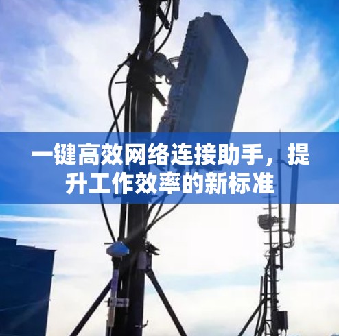 一键高效网络连接助手，提升工作效率的新标准