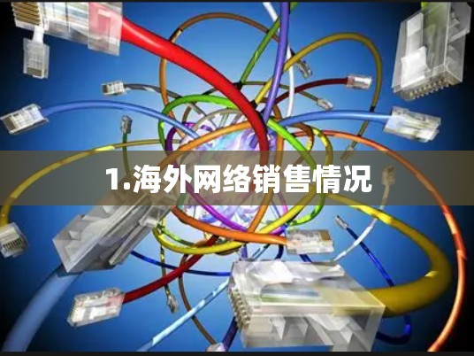 1.海外网络销售情况 1.海外网络销售情况