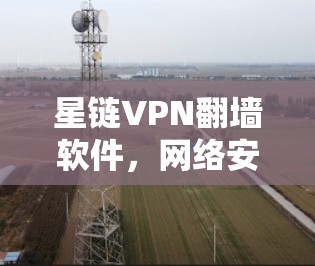 星链VPN翻墙软件,网络安全守护者 星链VPN翻墙软件,网络安全守护者