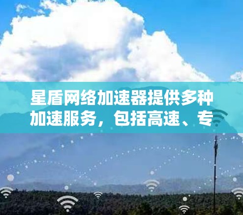 星盾网络加速器提供多种加速服务，包括高速、专业和免费的选项。以下是关于星盾网络加速器高速线路的详细信息