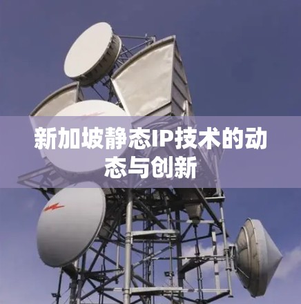 新加坡静态IP技术的动态与创新 新加坡静态IP技术的动态与创新