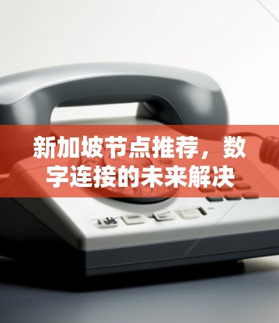 新加坡节点推荐,数字连接的未来解决方案 新加坡节点推荐,数字连接的未来解决方案