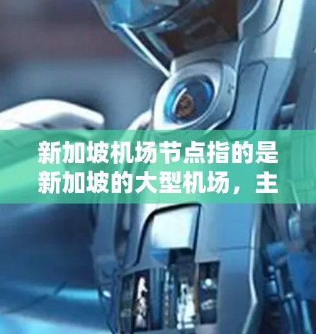 新加坡机场节点指的是新加坡的大型机场,主要包括以下几个主要机场 新加坡机场节点指的是新加坡的大型机场,主要包括以下几个主要机场