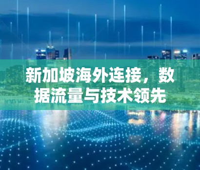 新加坡海外连接,数据流量与技术领先 新加坡海外连接,数据流量与技术领先