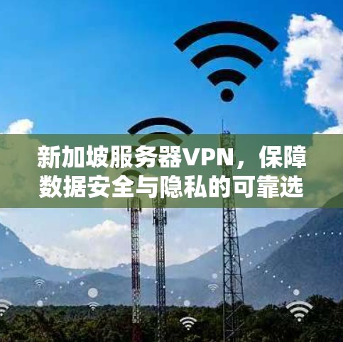 新加坡服务器VPN,保障数据安全与隐私的可靠选择 新加坡服务器VPN,保障数据安全与隐私的可靠选择