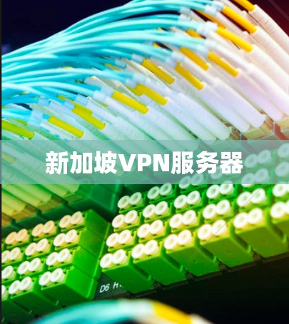 新加坡VPN服务器 新加坡VPN服务器