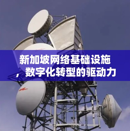新加坡网络基础设施，数字化转型的驱动力