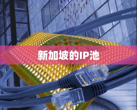 新加坡的IP池 新加坡的IP池