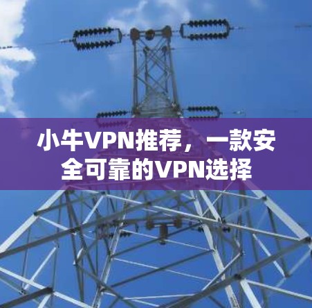 小牛VPN推荐,一款安全可靠的VPN选择 小牛VPN推荐,一款安全可靠的VPN选择