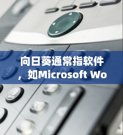 向日葵通常指软件,如Microsoft Word、Google Docs或Slack等。远程连接工具可以帮助你在使用向日葵软件时,将文件或窗口连接到本地计算机。以下是向日葵远程连接工具的常见解决方案 向日葵通常指软件,如Microsoft Word、Google Docs或Slack等。远程连接工具可以帮助你在使用向日葵软件时,将文件或窗口连接到本地计算机。以下是向日葵远程连接工具的常见解决方案