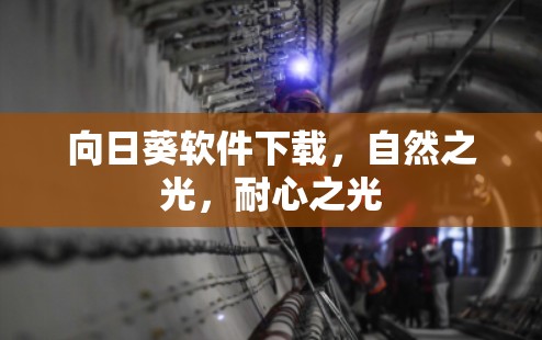 向日葵软件下载,自然之光,耐心之光 向日葵软件下载,自然之光,耐心之光