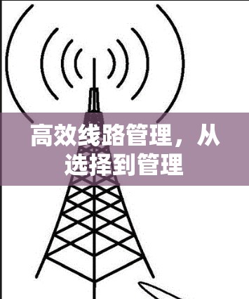 高效线路管理,从选择到管理 高效线路管理,从选择到管理