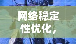 网络稳定性优化，从基础到应用