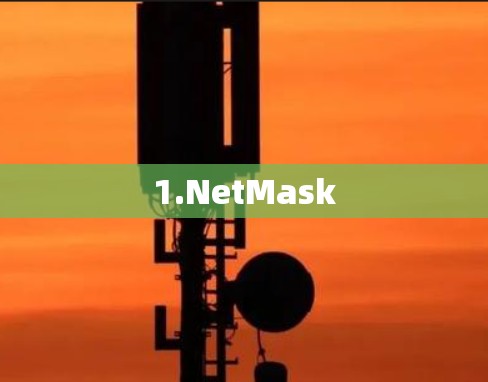 1.NetMask 1.NetMask