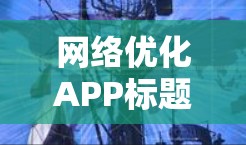 网络优化APP标题 网络优化APP标题