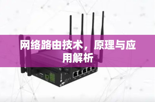 网络路由技术,原理与应用解析 网络路由技术,原理与应用解析