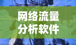 网络流量分析软件全解析 网络流量分析软件全解析
