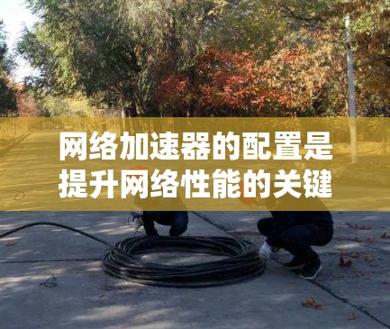 网络加速器的配置是提升网络性能的关键步骤,以下是详细的配置指南 网络加速器的配置是提升网络性能的关键步骤,以下是详细的配置指南