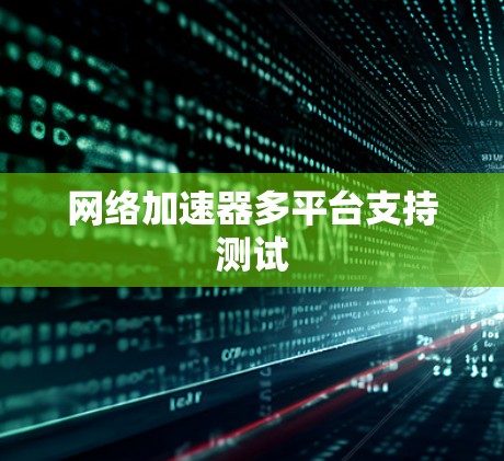 网络加速器多平台支持测试 网络加速器多平台支持测试