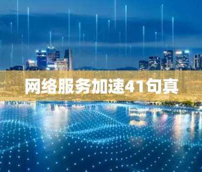 网络服务加速41句真 网络服务加速41句真