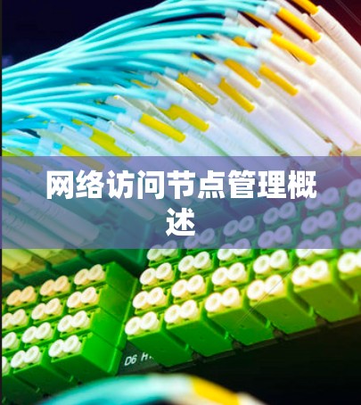 网络访问节点管理概述