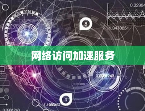 网络访问加速服务 网络访问加速服务