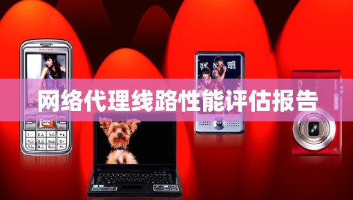 网络代理线路性能评估报告 网络代理线路性能评估报告