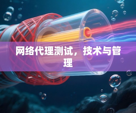 网络代理测试,技术与管理 网络代理测试,技术与管理